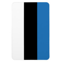 Estonia Flag Rectangle Magnet