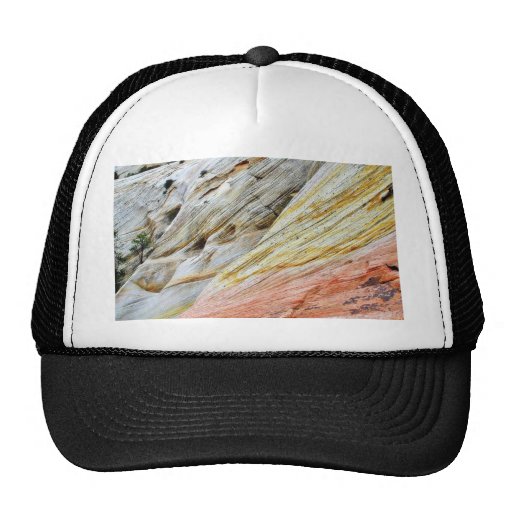 Estratos de la piedra arenisca del Mesa Zion de Ch Gorras