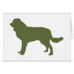 Estrela Mountain Dog