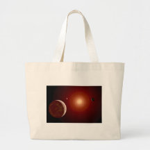 Estrella enana roja y Exoplanets Bolsa