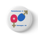 Estrogen Ping Pong