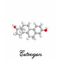Estrogen t-shirts