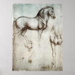 Estudio del poster de los caballos