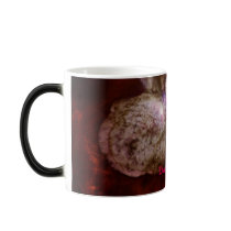 Eta Carinae Stellar Morphing Mug