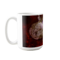 Eta Carinae Stellar Mug