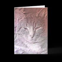 Etched Kitten Greeting Card cards