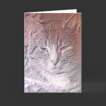 Etched Kitten Greeting Card