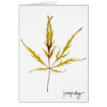 "Etched Leaf" by J. Maya Luz Card
