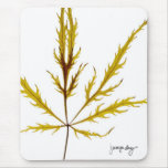 "Etched Leaf" by J. Maya Luz mousepads