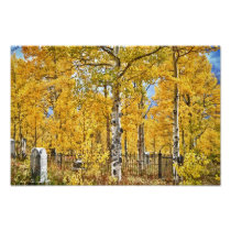 Eternal Autumn Resting Place Photographic Print