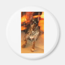"Eternal" Dane Nation! Refrigerator Magnets