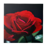 Eternal love Rose Ceramic Tile