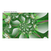 Eternal Orchid posters by silverspider2005 Eternal Orchid posters