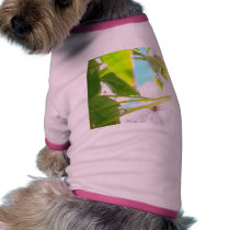 ETHEREAL PETALS WITH SKY pet clothing by MEANMAGENTA ETHEREAL PETALS WITH SKY pet clothing