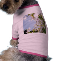 ETHEREAL PETALS WITH SKY pet clothing by MEANMAGENTA ETHEREAL PETALS WITH SKY pet clothing