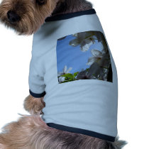 ETHEREAL SKY I pet clothing by MEANMAGENTA ETHEREAL SKY I pet clothing