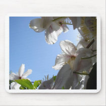 ETHEREAL SKY I mousepads