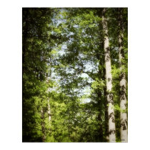 Ethereal Trees poster posters