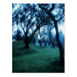 Etherial Moment postcards