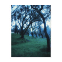 Etherial Moment postcards