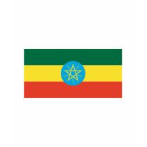 Ethiopia FLAG International t-shirts