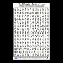 Ethiopian Fidel Feedel Alphabet Amharic Poster posters
