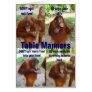 Etiquette and Manners for Wildlife or People Greeting Cards