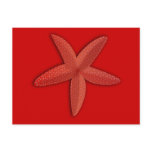 etoile_de_mer_Vector_Clipart red starfish sealife Post Card
