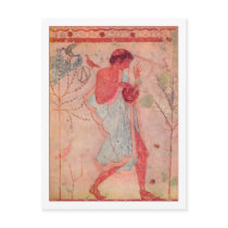 Etruscan Musician Postcards