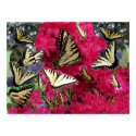 ets_pink_multi_zazzle posters by demigail ets_pink_multi_zazzle posters