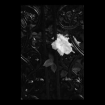 Étude en noir posters