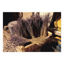EU, France, Provence, Bouches, du, Rhone, Les