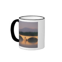 EU, France, Provence, Vaucluse, Avignon. Pont Mugs