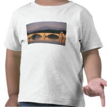EU, France, Provence, Vaucluse, Avignon. Pont T-shirts