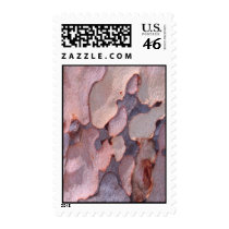 Eucalyptus Bark Postage
