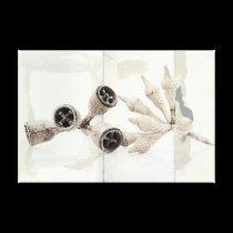 Eucalyptus capsules canvas prints