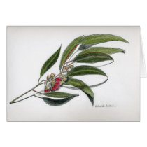 Eucalyptus leaves cards