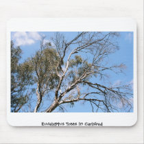 Eucalyptus Trees in Carlsbad mousepads by annakata46 Eucalyptus Trees in Carlsbad mousepads
