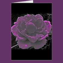 Eufloria cards