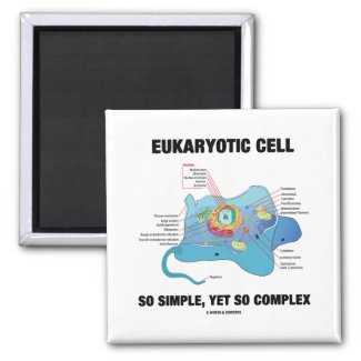 Eukaryotic Cell So Simple, Yet So Complex Refrigerator Magnet