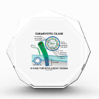 Eukaryotic Cilium A Case For Intelligent Design Acrylic Award