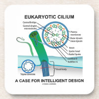 Eukaryotic Cilium A Case For Intelligent Design Drink Coaster