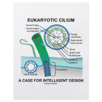 Eukaryotic Cilium A Case For Intelligent Design Flyers