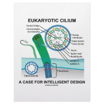 Eukaryotic Cilium A Case For Intelligent Design letterhead by wordsunwords Eukaryotic Cilium A Case For Intelligent Design letterhead