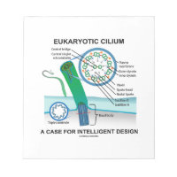 Eukaryotic Cilium A Case For Intelligent Design Memo Note Pads