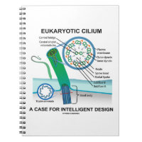 Eukaryotic Cilium A Case For Intelligent Design Notebook