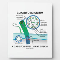 Eukaryotic Cilium A Case For Intelligent Design Photo Plaques