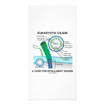Eukaryotic Cilium A Case For Intelligent Design photo cards by wordsunwords Eukaryotic Cilium A Case For Intelligent Design photo cards