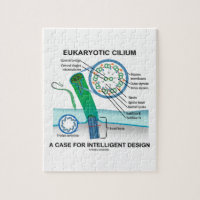 Eukaryotic Cilium A Case For Intelligent Design Puzzles