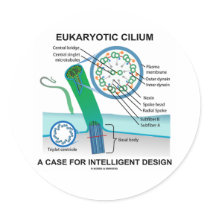 Eukaryotic Cilium A Case For Intelligent Design stickers by wordsunwords Eukaryotic Cilium A Case For Intelligent Design stickers